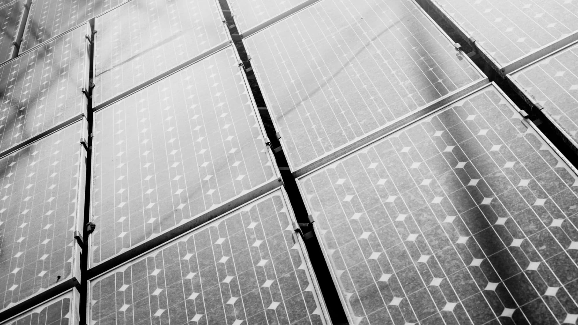 Commercial solar panel array in monochrome